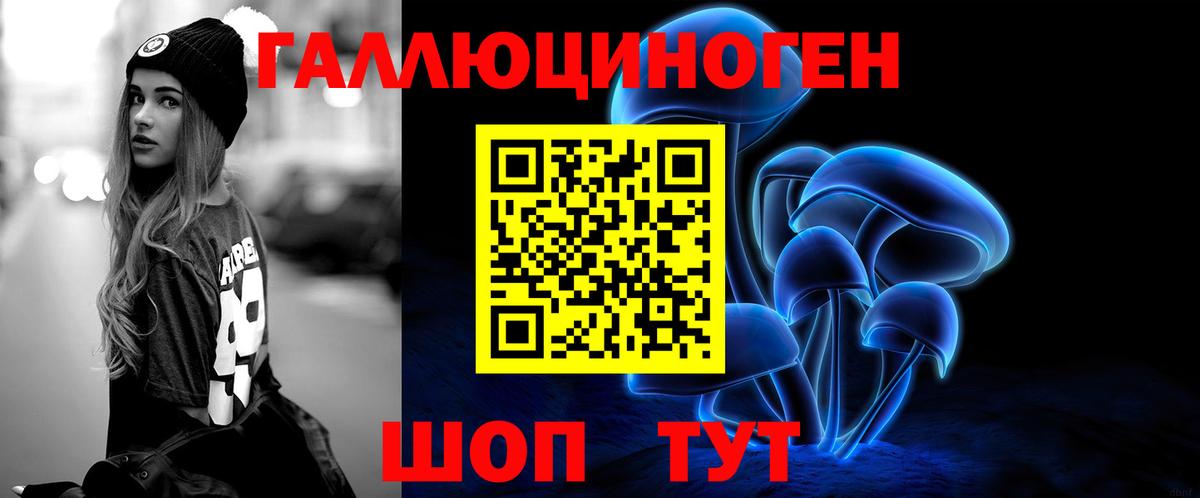 Пенза  Псилоцибиновые грибы мицелий  Вход с VPN 