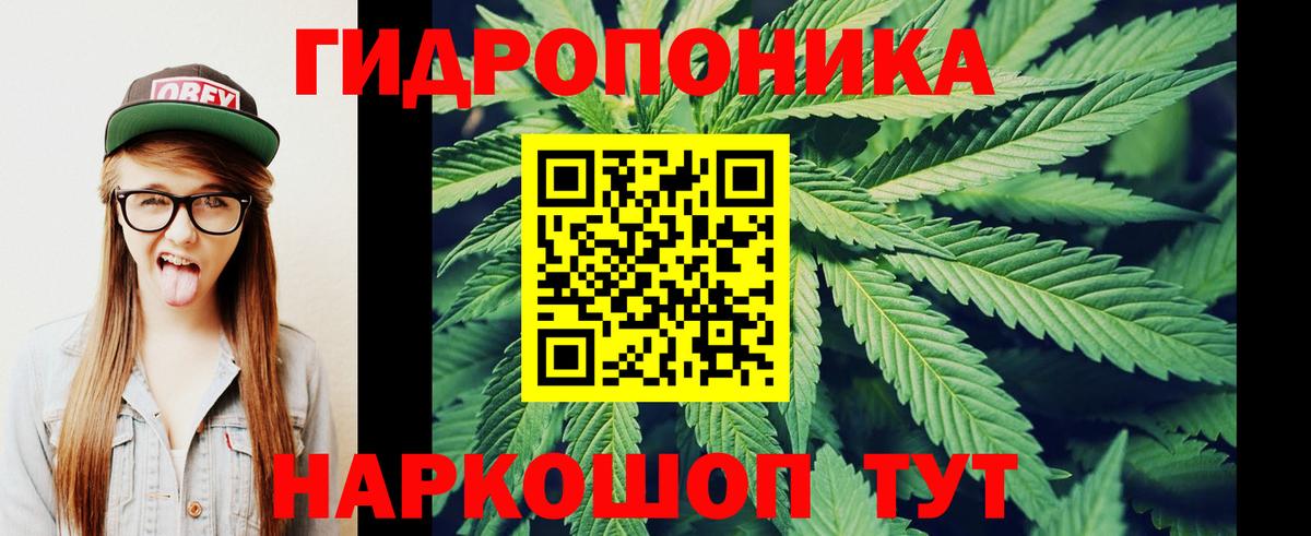 Шишки марихуана семена  Вход с VPN  Конопля OG Kush  Бошки Шишки VHQ  Пенза 